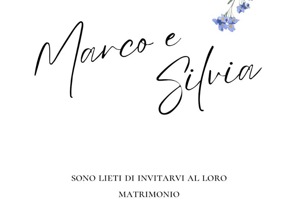 Partecipazione