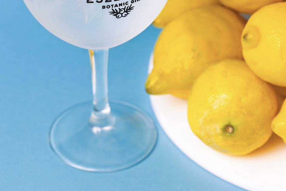 Gin & Tonic Truck