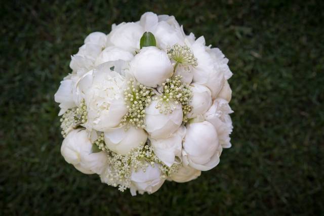Bouquet di peonie