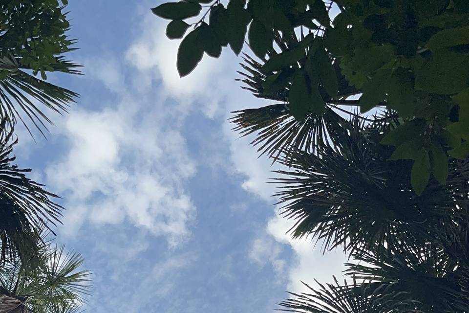 Scorci di Amazzonia Peruviana