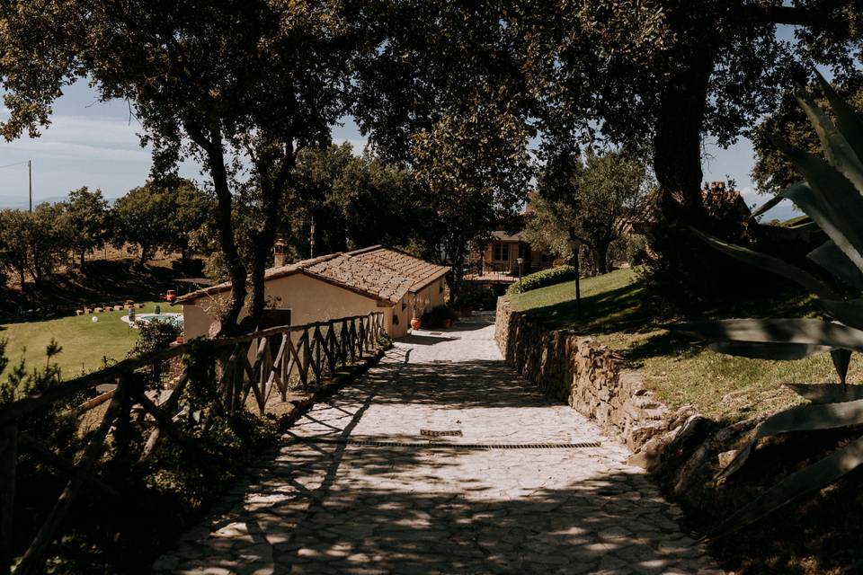 Panorama