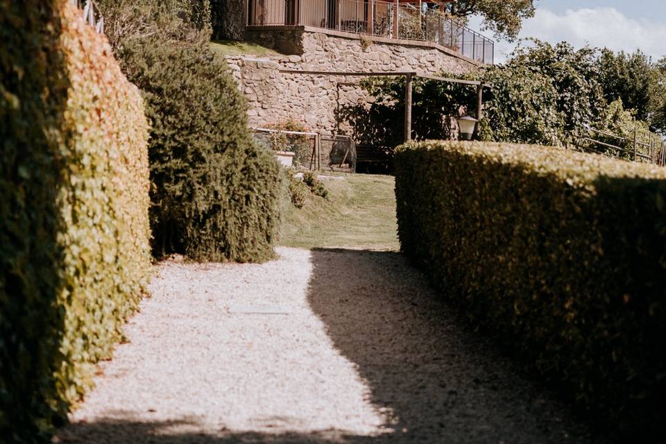 Panorama