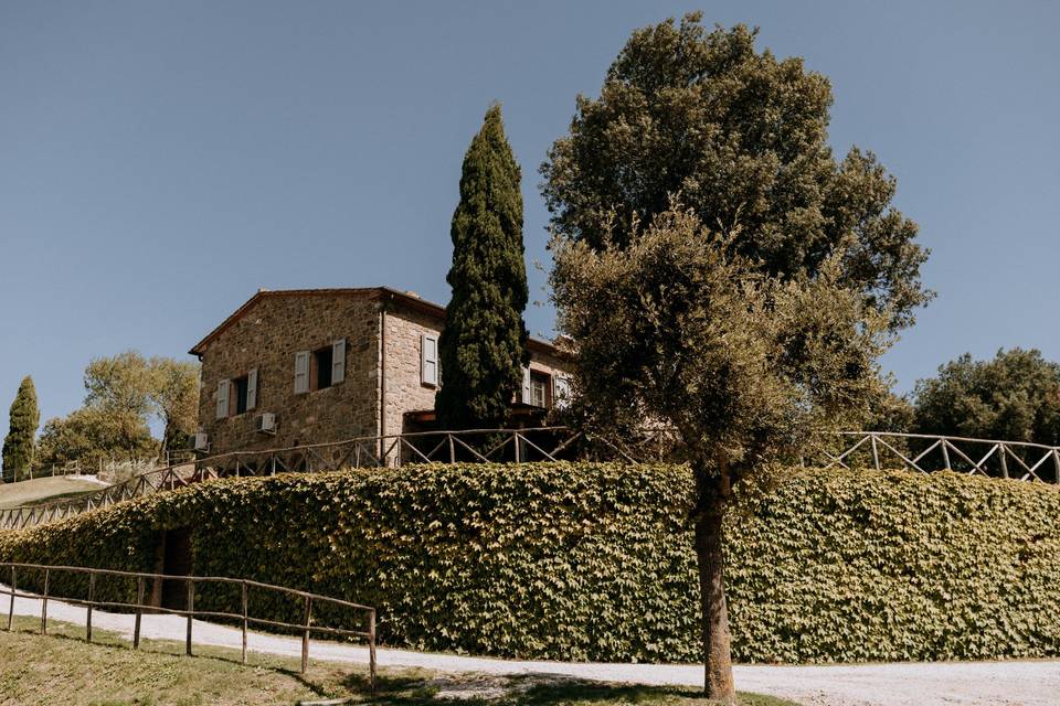 Panorama
