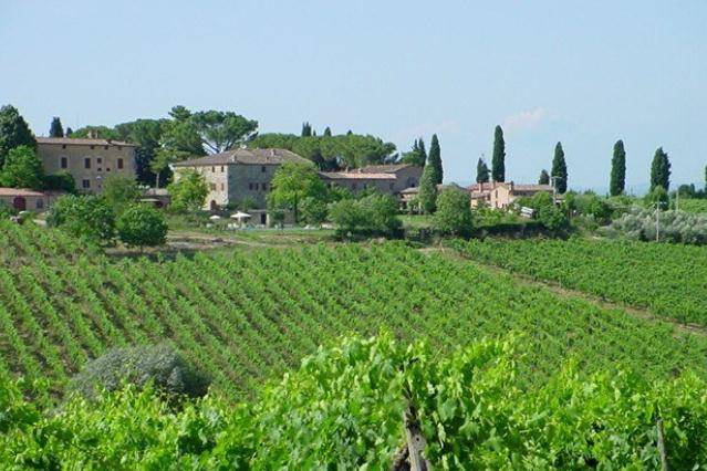 Tenuta di Corsano