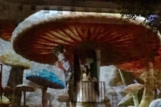 Video mapping lancio bouquet