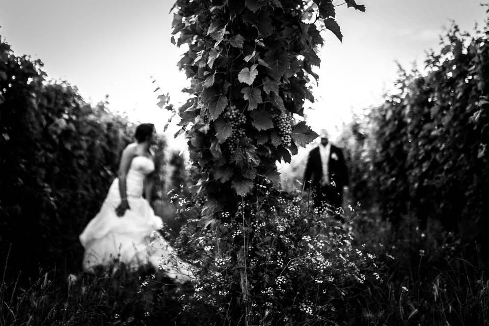 Fotografia di Lorenzo Bianchi