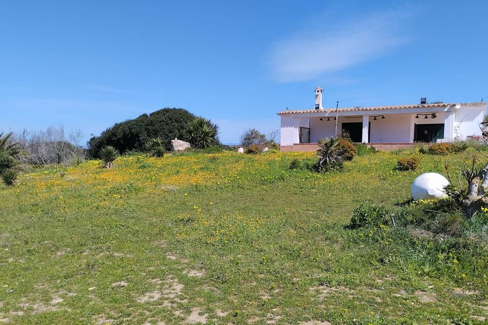 Primavera