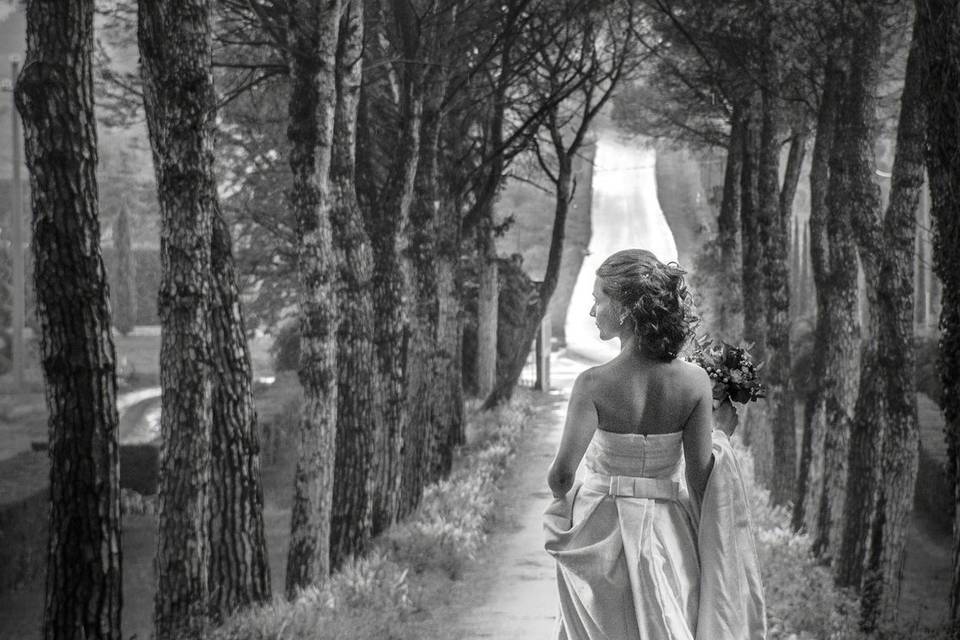 Arriva la sposa