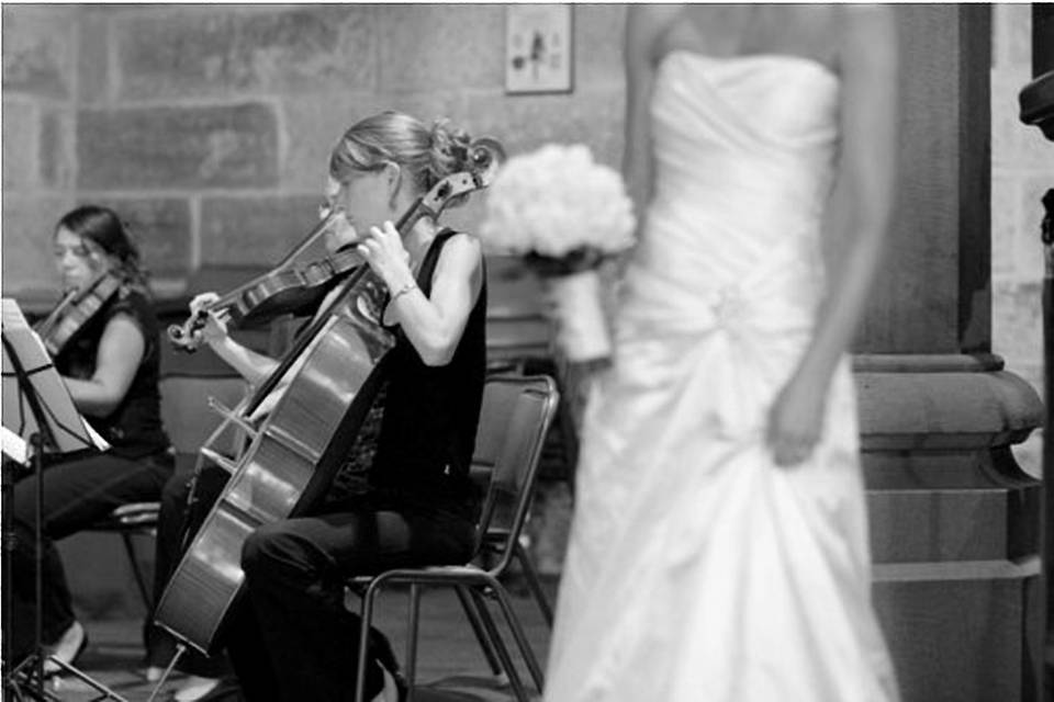 Musica matrimonio Acqui Terme