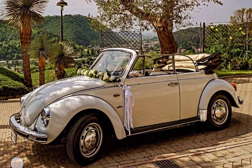 Maggiolone cabrio
