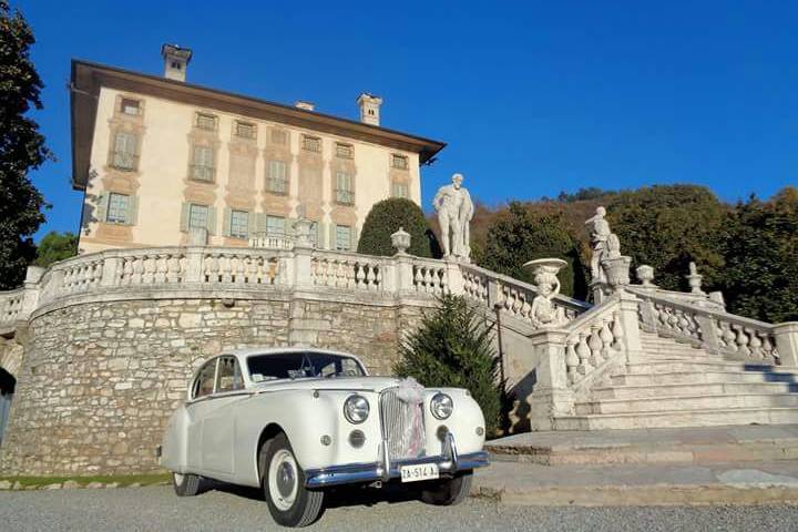 Jaguar MKVII