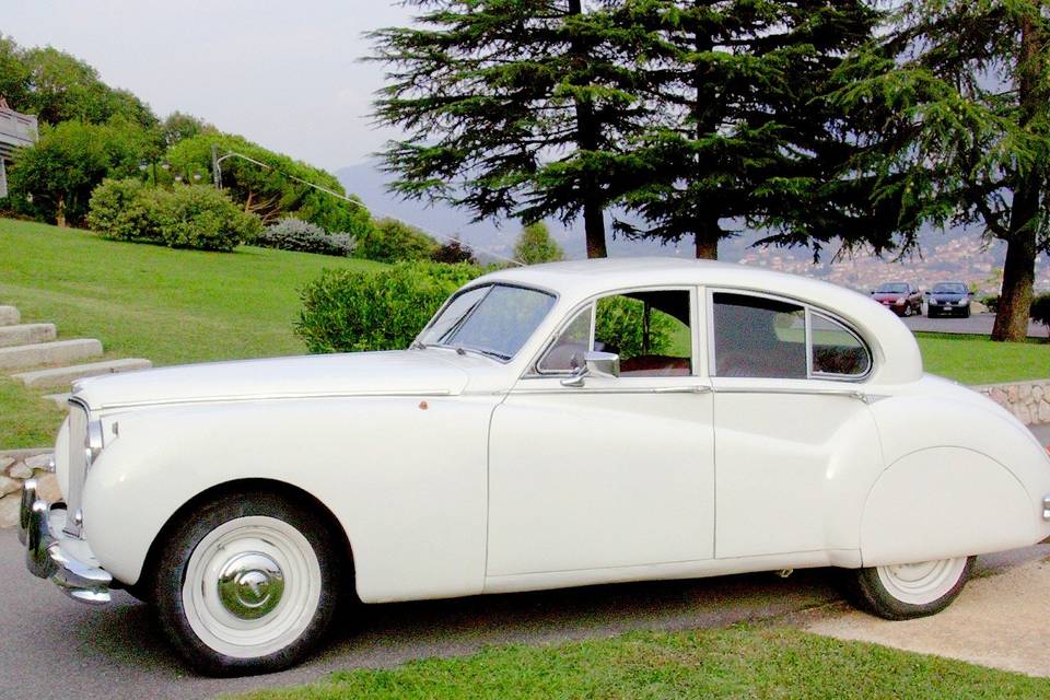 Jaguar MKVII