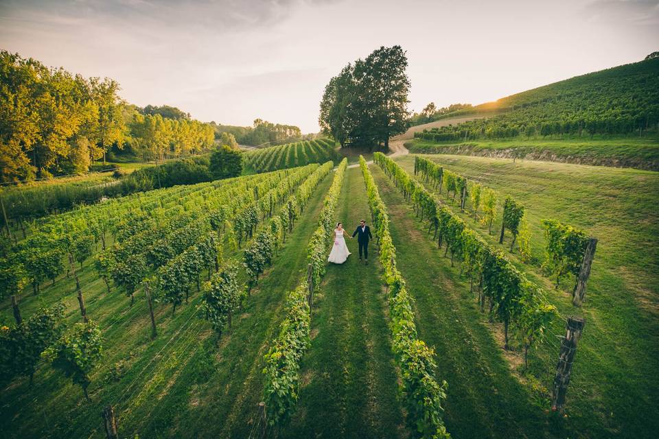 Passeggiando per le vigne