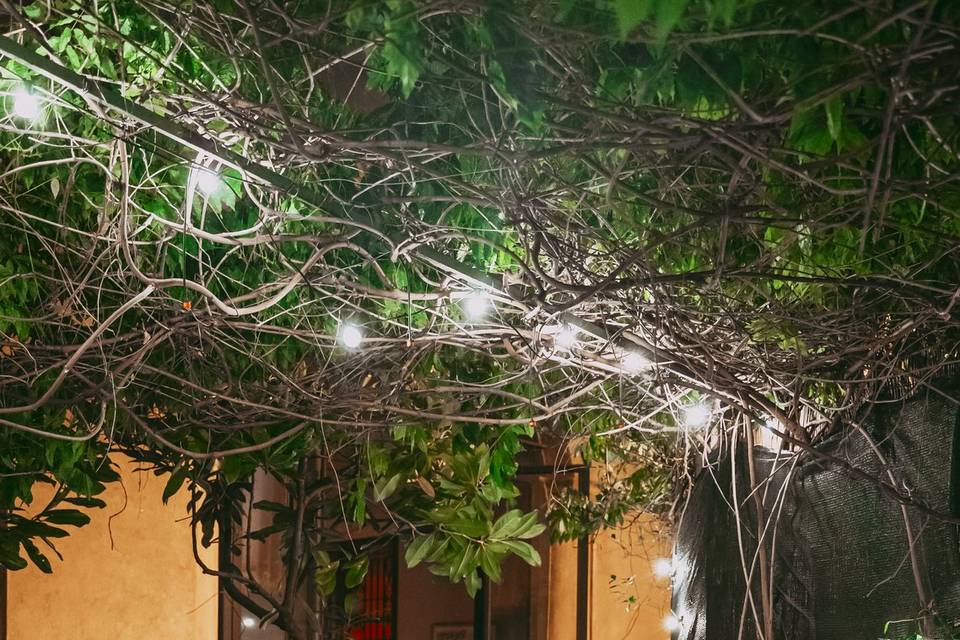 Secret garden #1
