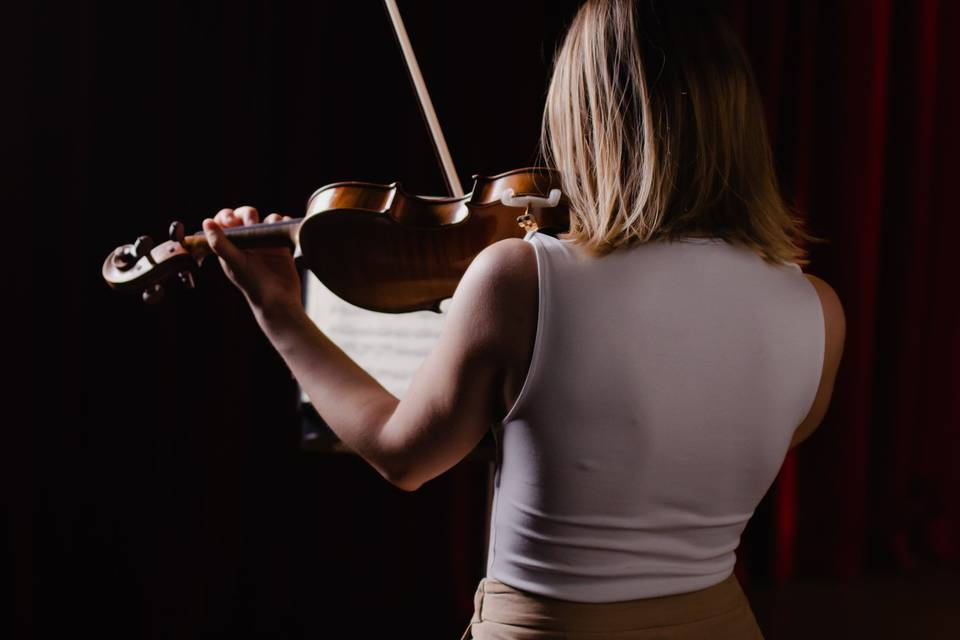 Violinista