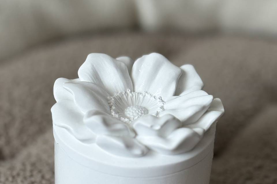 Contenitore in gesso