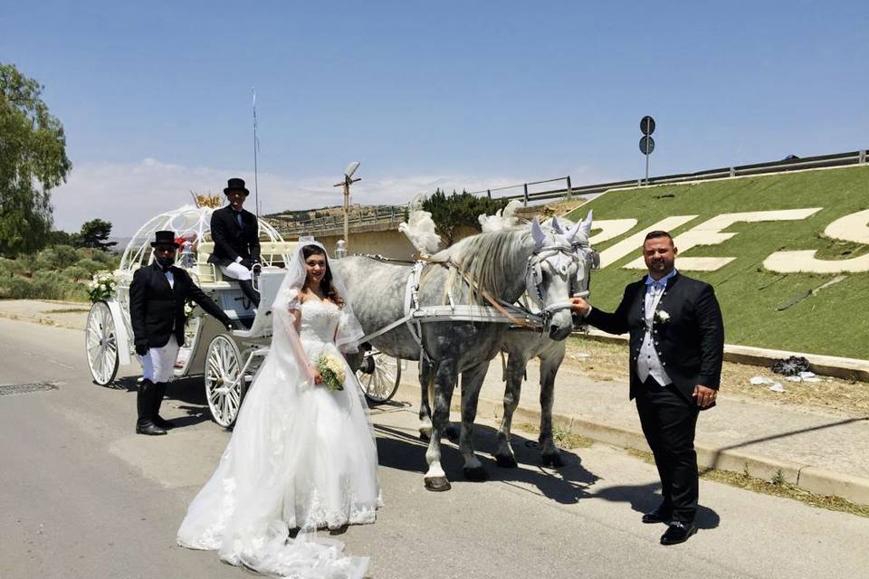 Carrozza di cenerentola