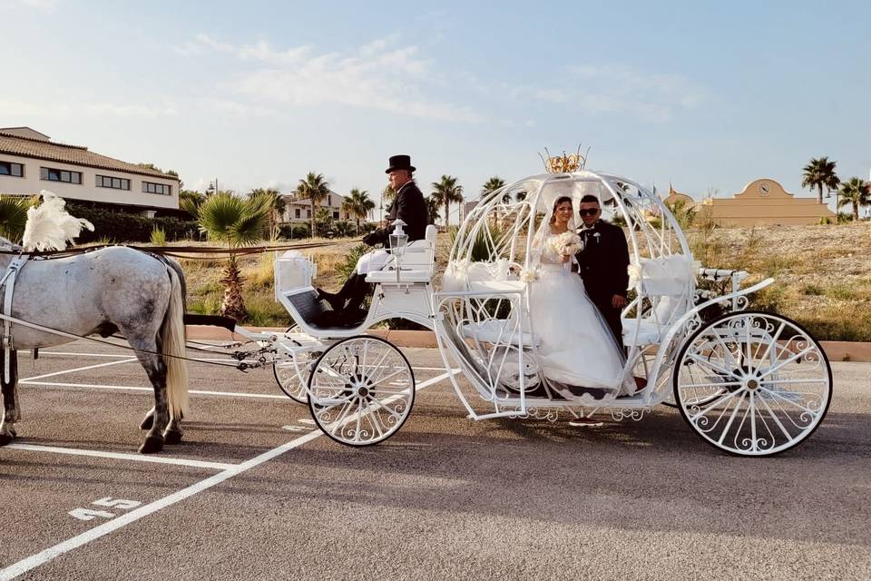 Carrozza di cenerentola