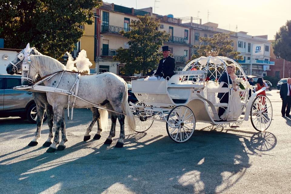 Carrozza di cenerentola