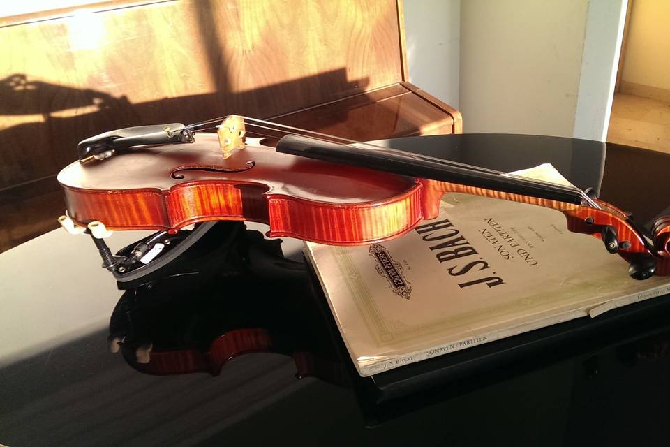 Bach Giuseppe violinista cerimoniale