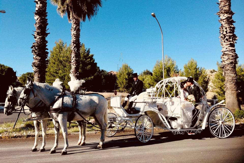 Carrozza di cenerentola