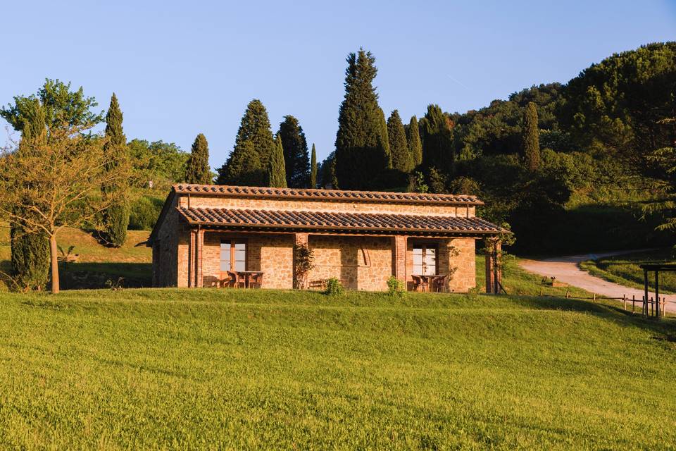 Camere