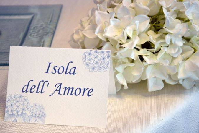 Donna Marì Wedding & Events Planner