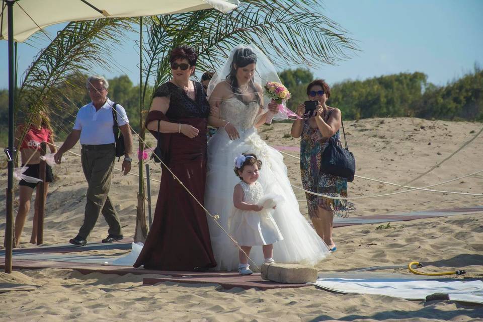 Beach Wedding