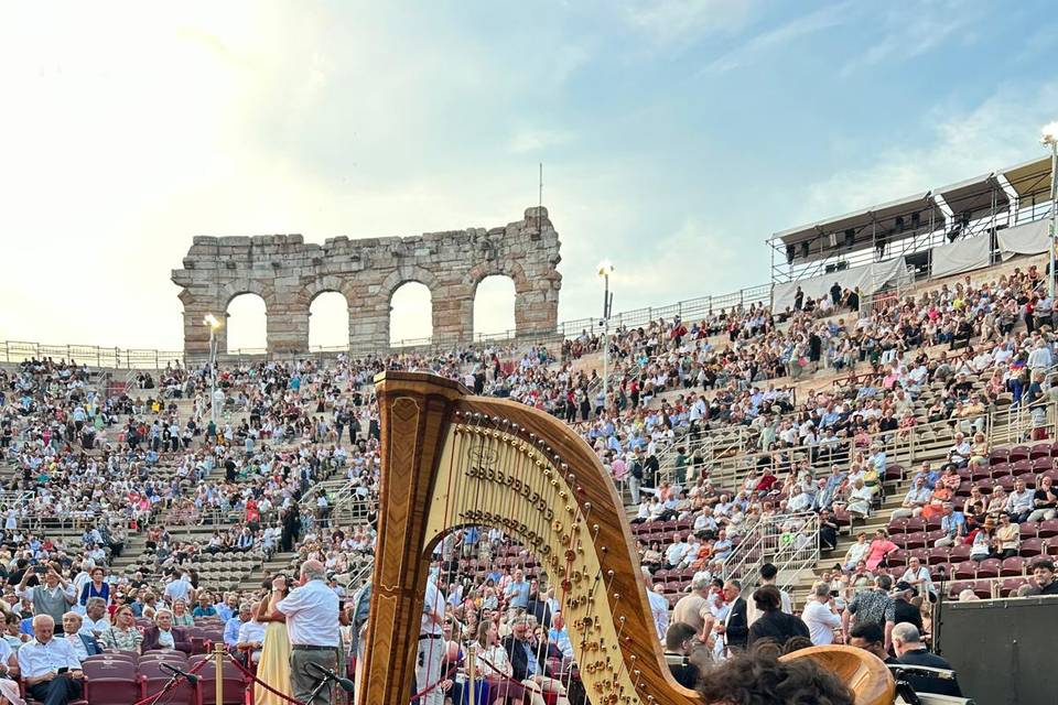 Esibizione all'Arena di Verona