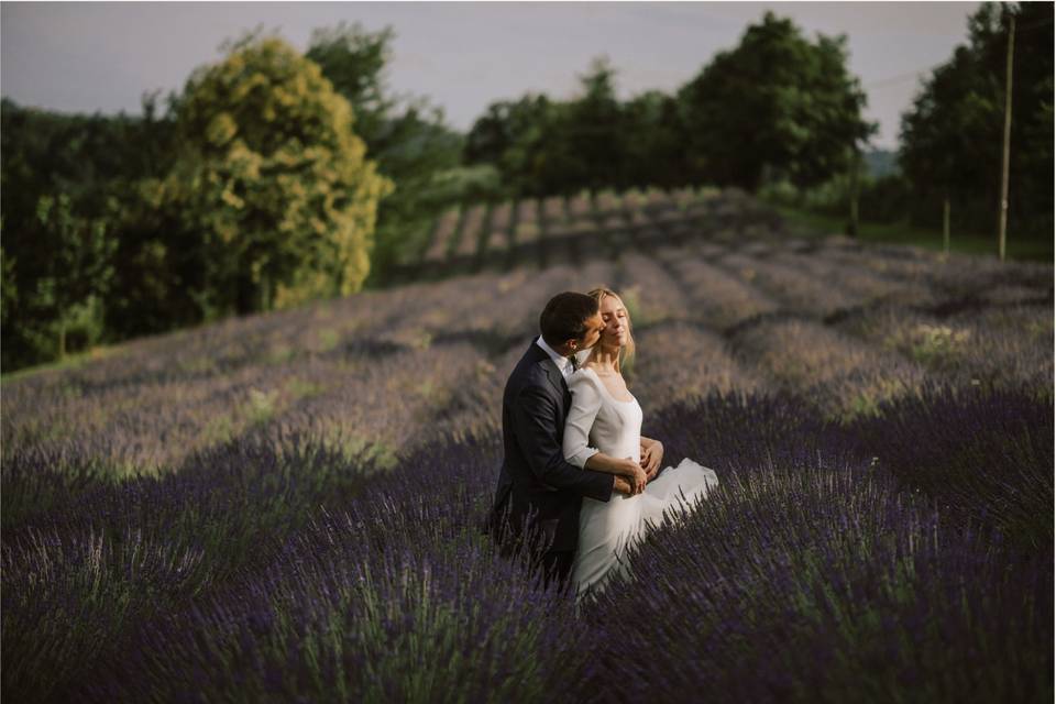 Lavanda