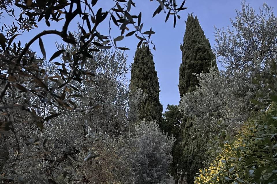 Scalinata per area azzura