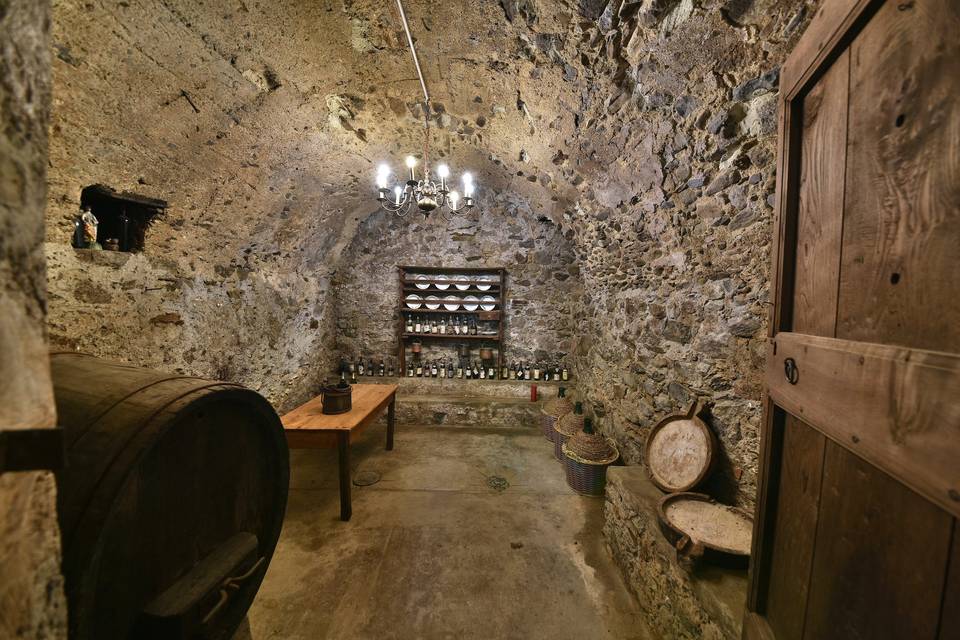Cantine