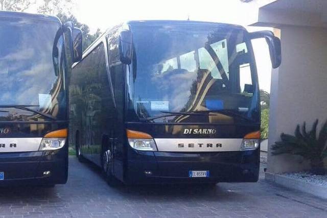 Flotta autobus