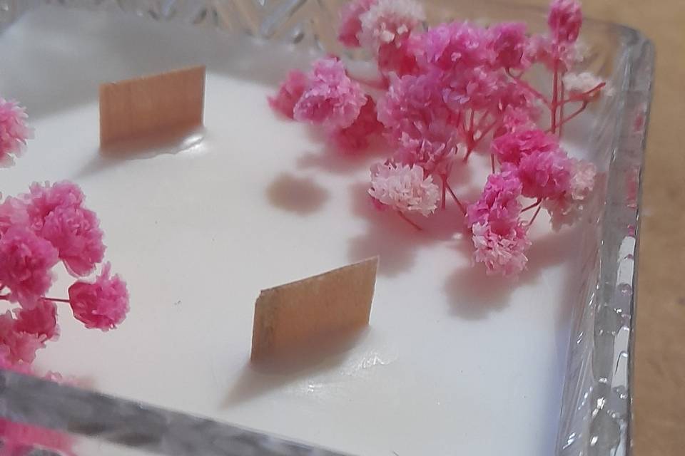 Candela botanica in cera di so