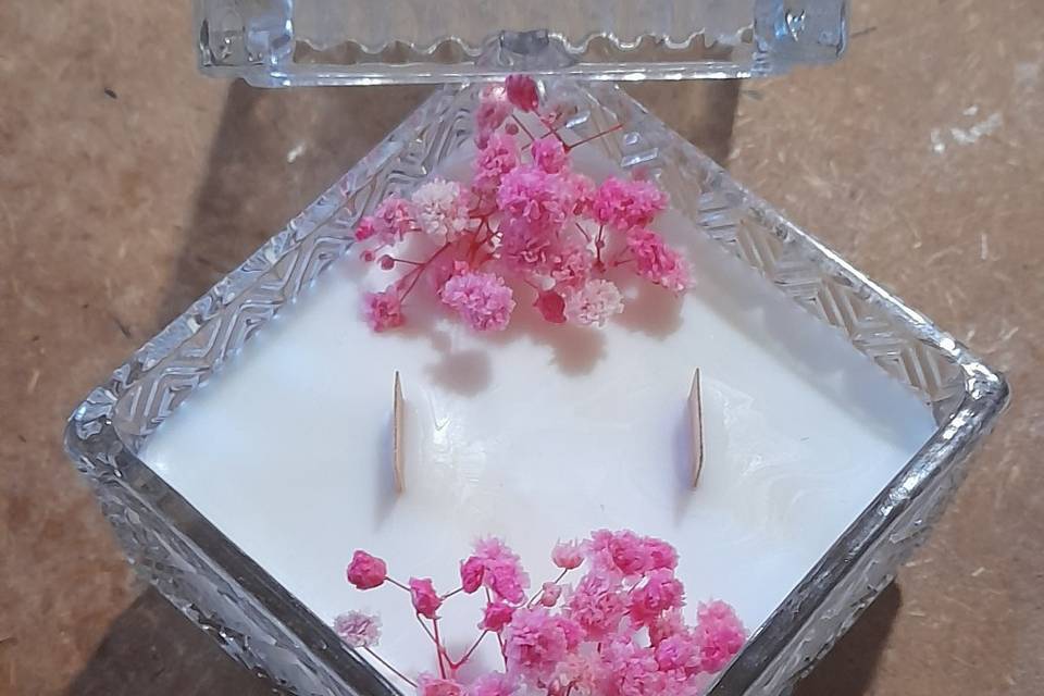 Candela botanica in cera di so