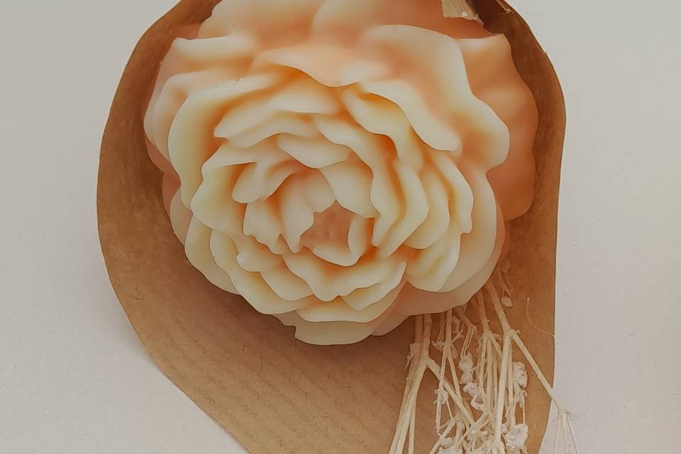Peonia