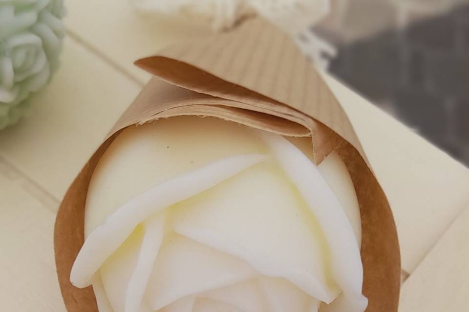 Rosa