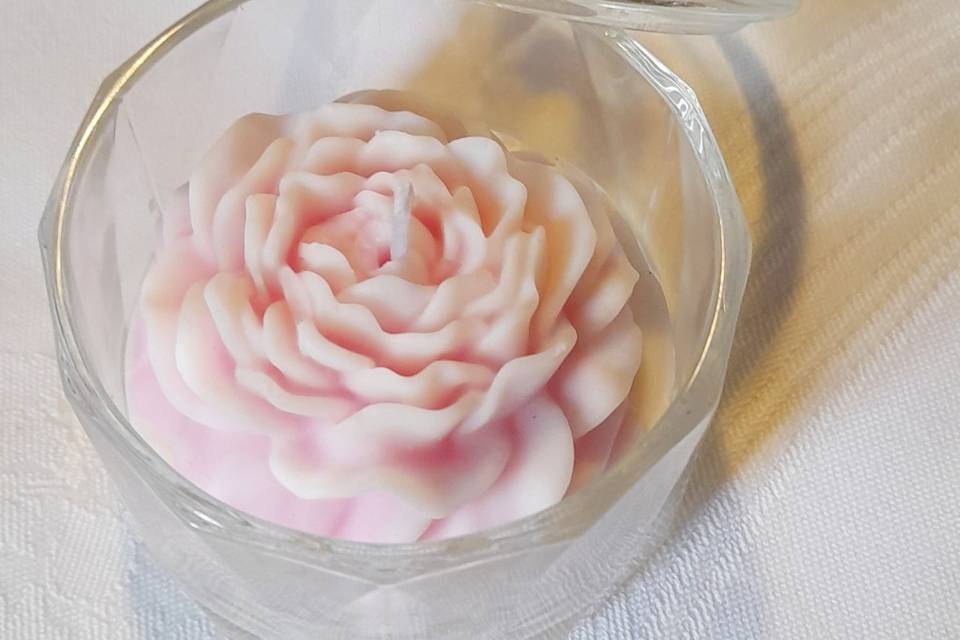 Mini candela peonia in conteni