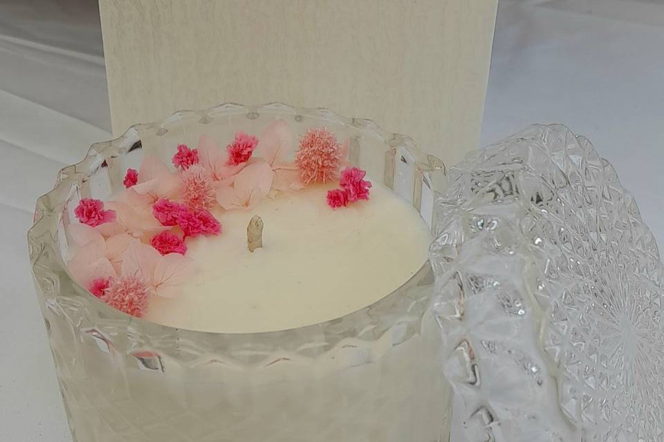 Candela botanica