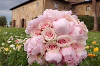 Dream Flowers