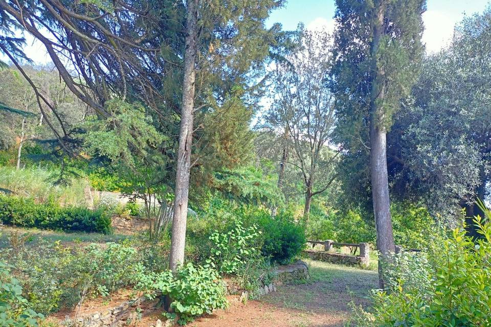 Giardino