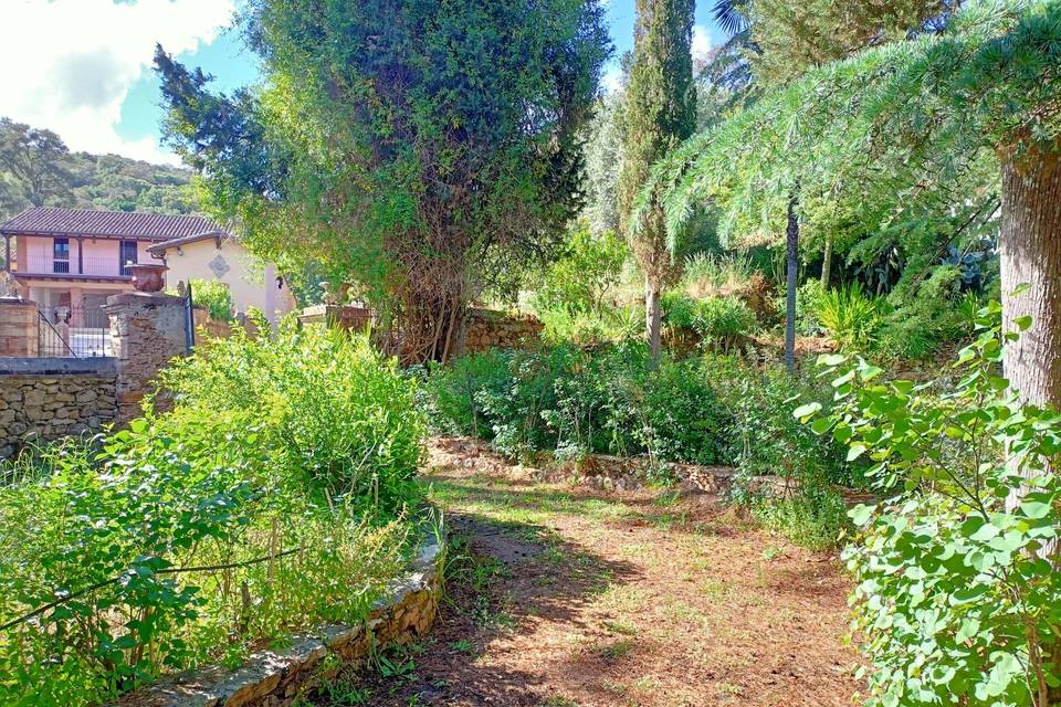 Giardino