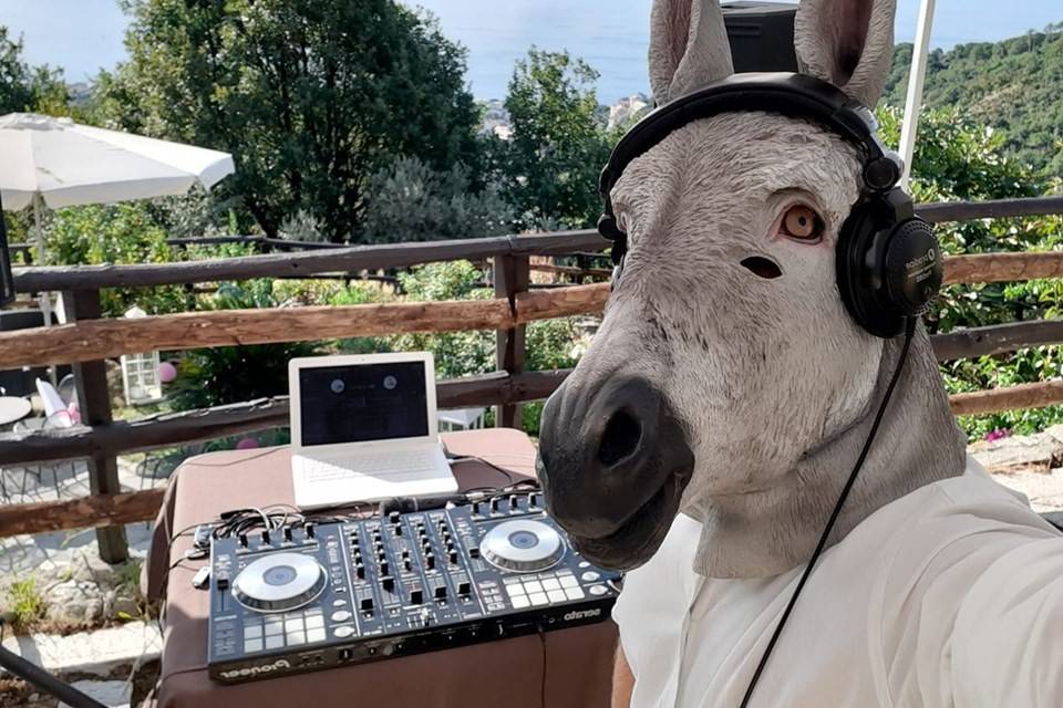 Dj Erik