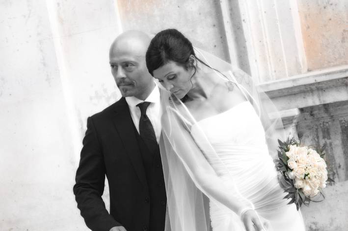 Olivi foto
