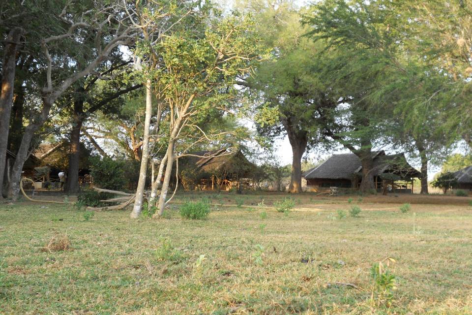 Tsavo, Kenya