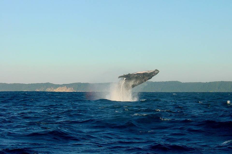 Hermanus, Sud Africa