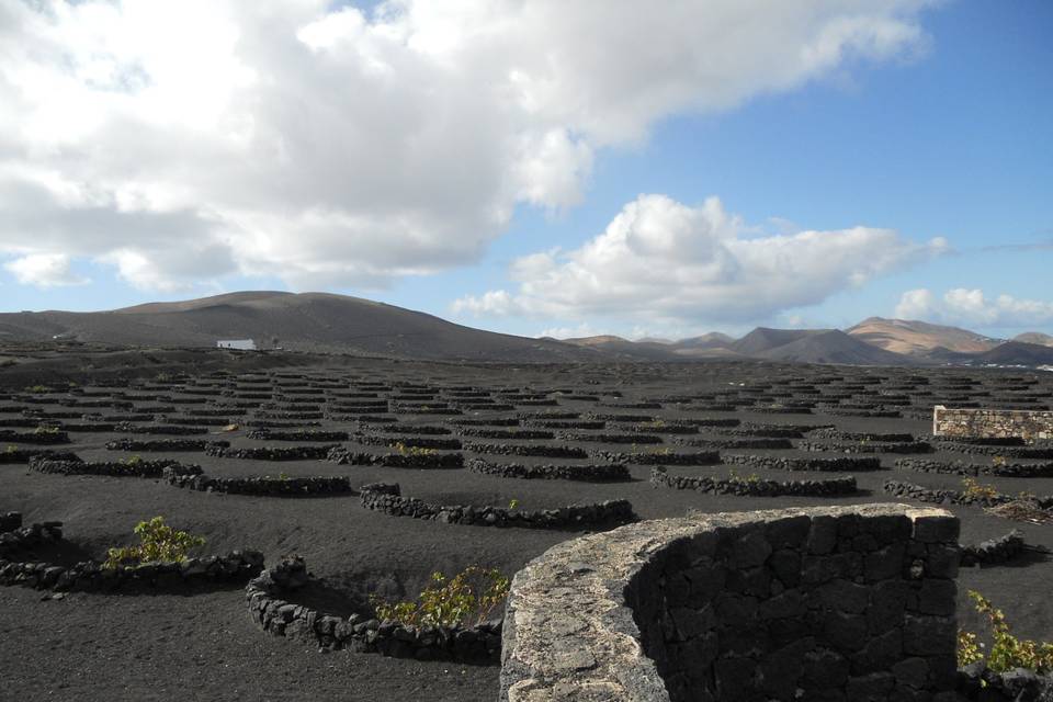 Lanzarote, Canarie