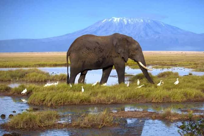 Kenya