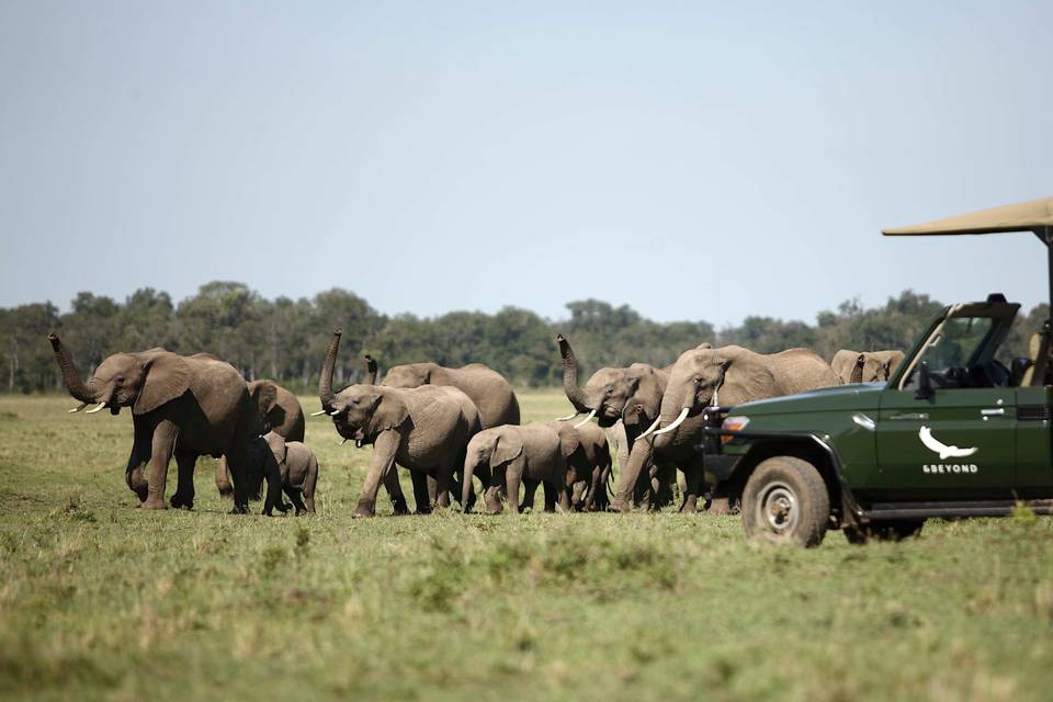 Masai Mara, Kenya