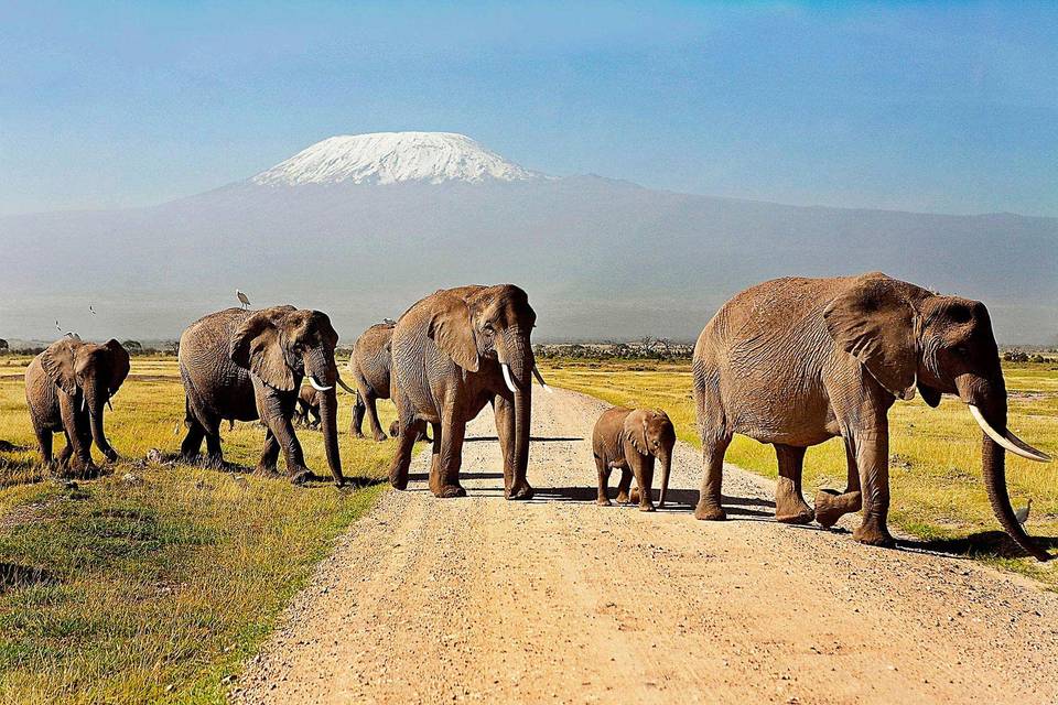 Amboseli National Park, Kenya